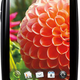 Illustration for article titled Palm Pre Plus Priced at $150 on ATT